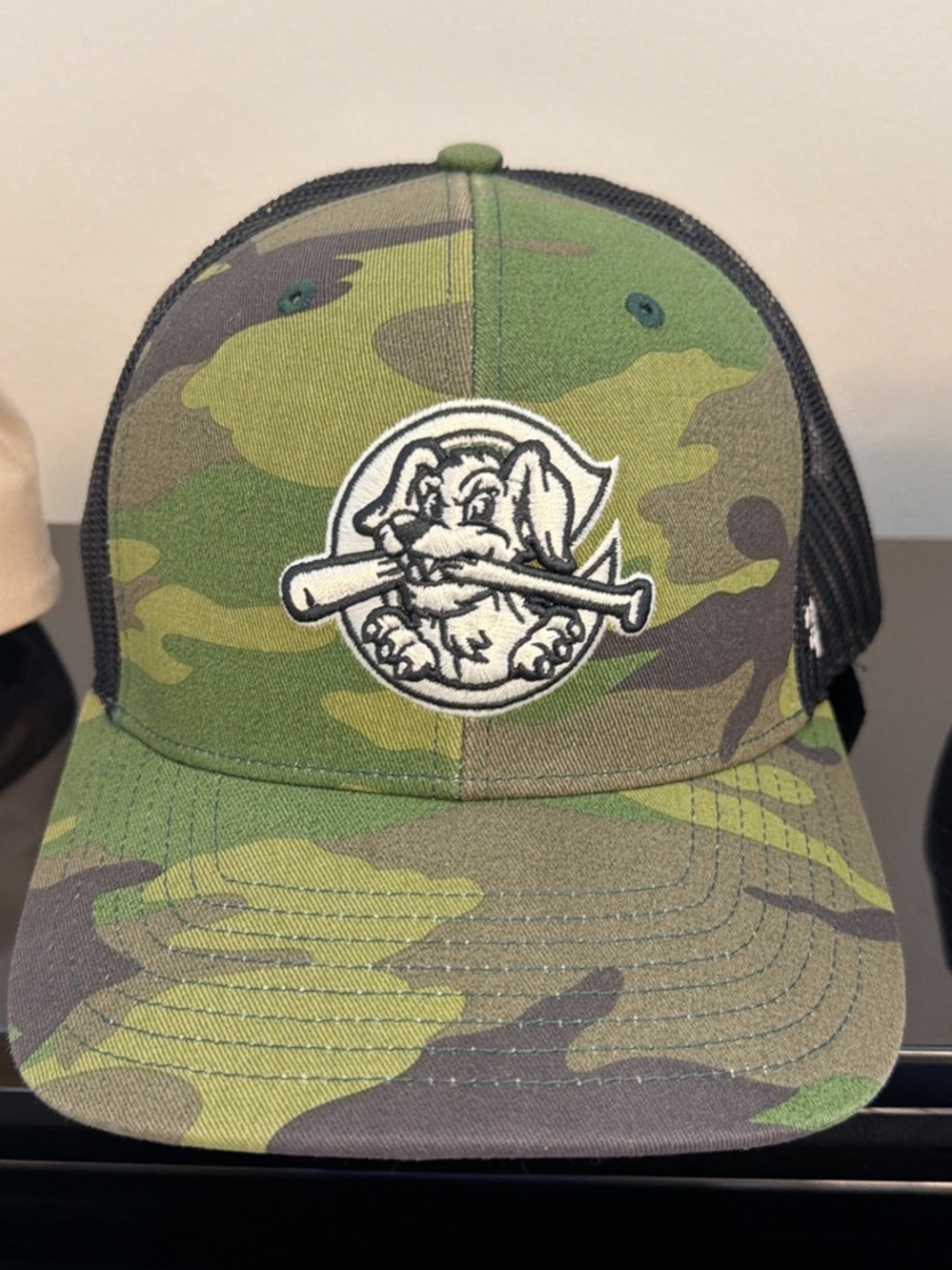 Charleston Riverdogs Baseball Camo Hat with Dog & Bat Patch Charlie !! New